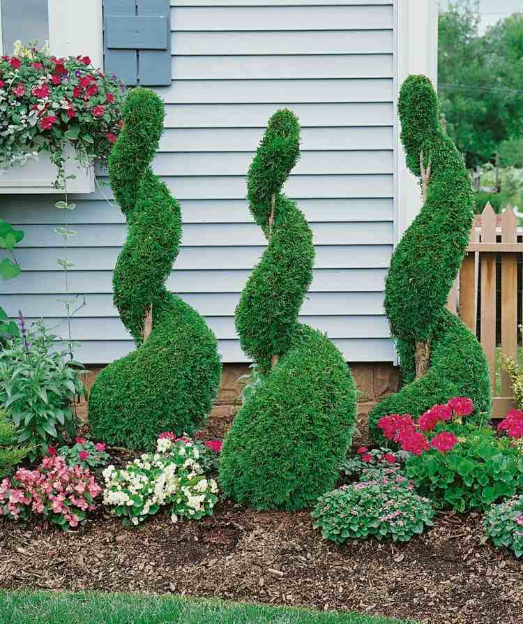 živý plot thuja špirálovitý tvar-strih-záhon-kríky-kvitnúce