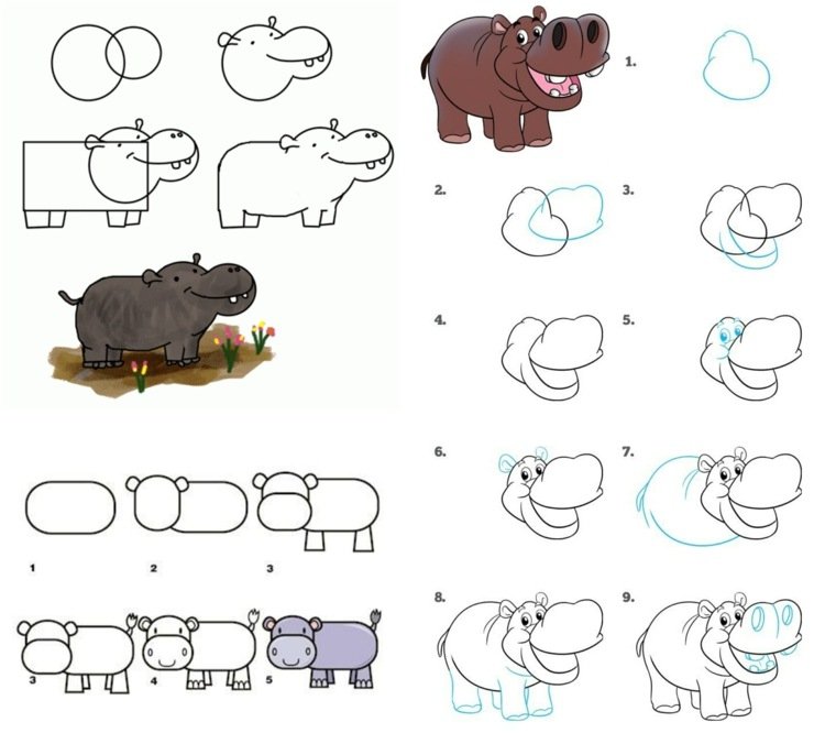 Maľovanie zvierat so ZOO Therma alebo džungľou - 3 pokyny pre hrocha a hrocha