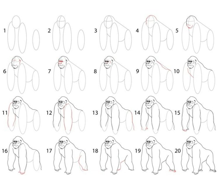 Maľovanie zvierat - podrobný návod na gorilu