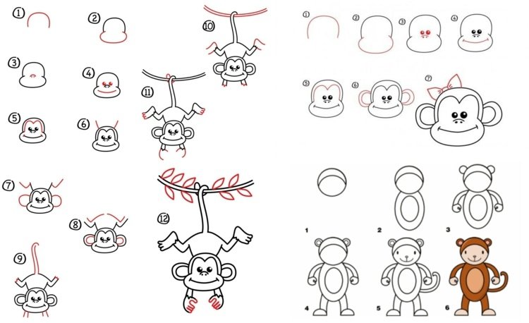 Roztomilé opice z džungle - stojaca alebo visiaca opica na vetve alebo opičej hlave