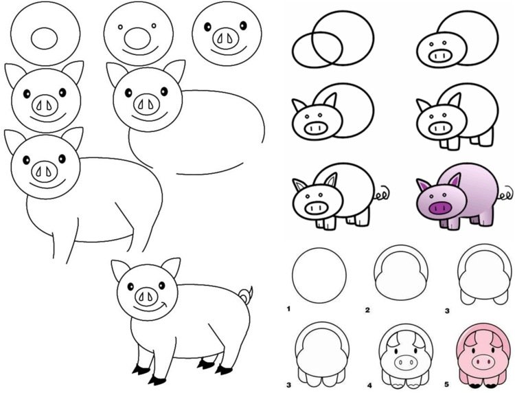 Návrhy a pokyny pre ošípané z boku a spredu