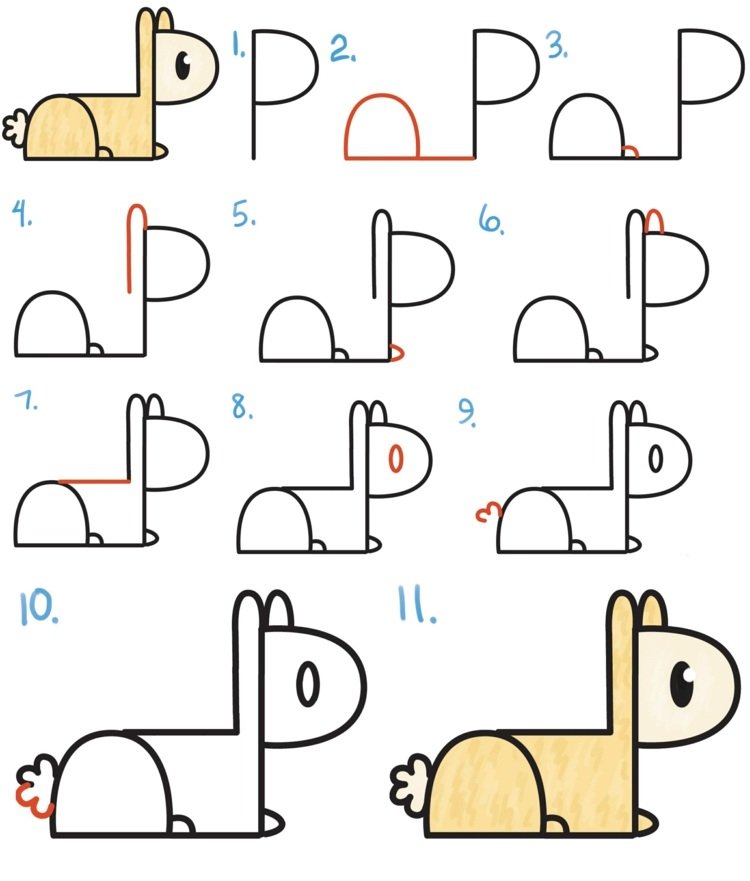 Lama čerpá z písmena P pre zvieratá v zoo