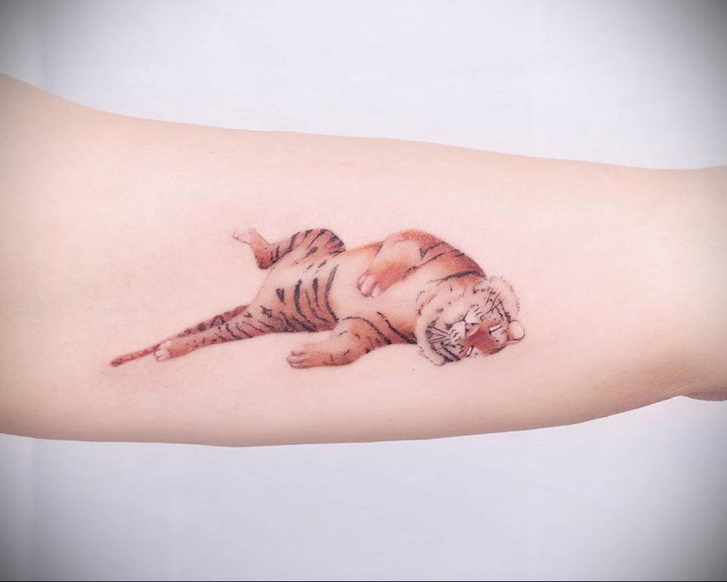 Zdjęcia przykładowych tatuaży tygrysich z 03.11.2020 - zdjęcie dla 7