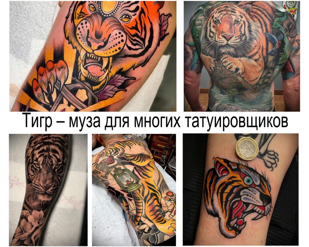 Tygrys jest królem dżungli i muzą wielu tatuatorów - informacje i przykłady zdjęć