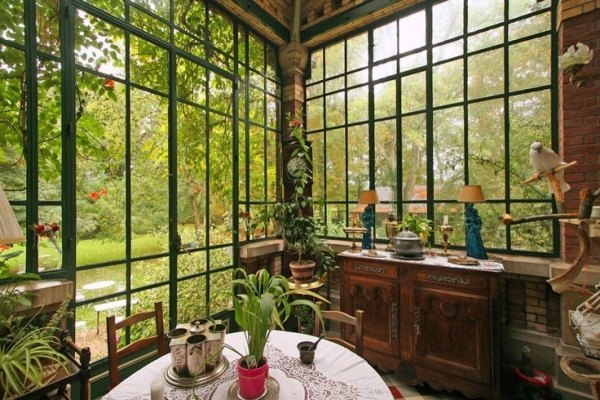 zimná záhrada črepníkové rastliny starožitný nábytok predmety papagáj zimná záhrada črepníkové rastliny starožitné predmety papagáj