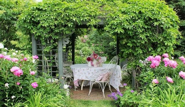 konferenčný stolík ružová pivónia pergola popínavé rastliny vínna záhrada Horolezecký konferenčný stolík z kovaného železa v štýle vintage