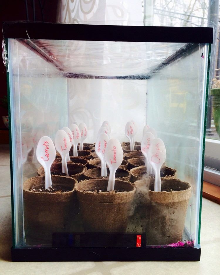 Vytvorte mini skleník v akváriu s potravinovou fóliou tipy-triky-domácnosť-prázdny-akvárium-priľnavý film-mini-skleník