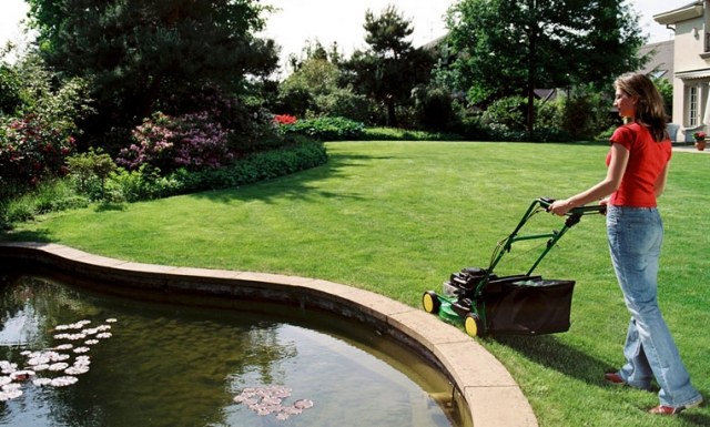 tipy na záhradný dizajn pri nákupe kosačiek na trávu