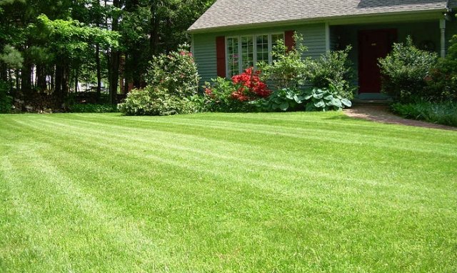 záhradná veľkosť trávnika - model kosačky