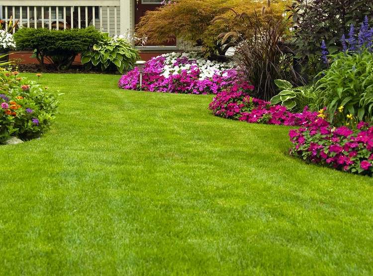 Kúpte si kosačky-čo je dôležité-záhony