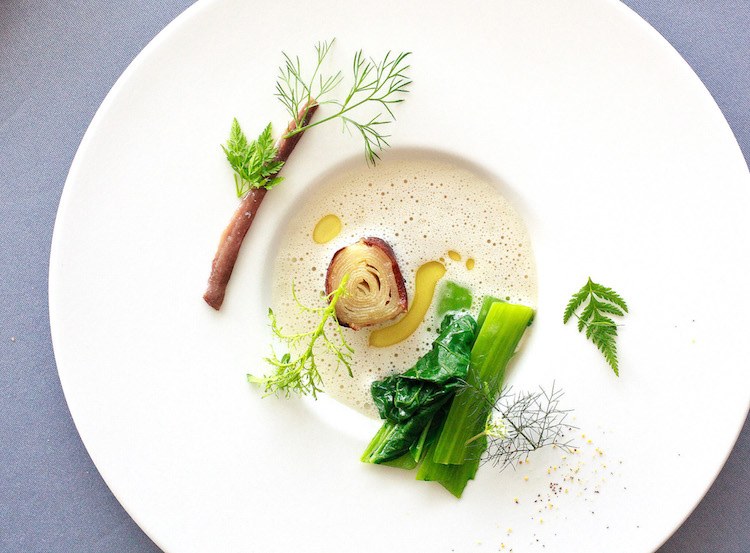 Polievka gurmánska zelenina smotana čerstvé bylinky