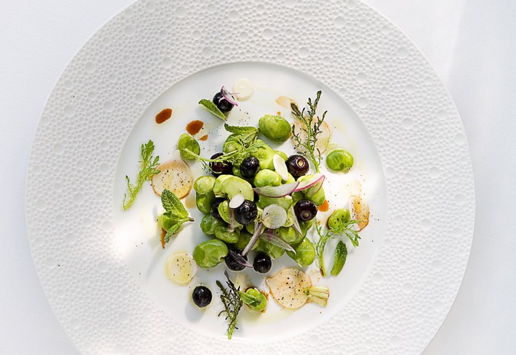 zelené fazuľky čučoriedky jarný apríl recept