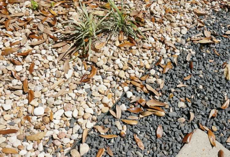 Tip na údržbu záhrady pre záhradnú cestu - pozametajte listy tipy na starostlivosť o záhradu lístie na chodníku okruhliak svetlo šedý dizajn