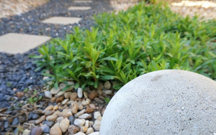 Vďaka údržbe záhrady môžete tiež vysádzať nové rastliny tipy na starostlivosť o záhradu hrabú listy z kamienkov