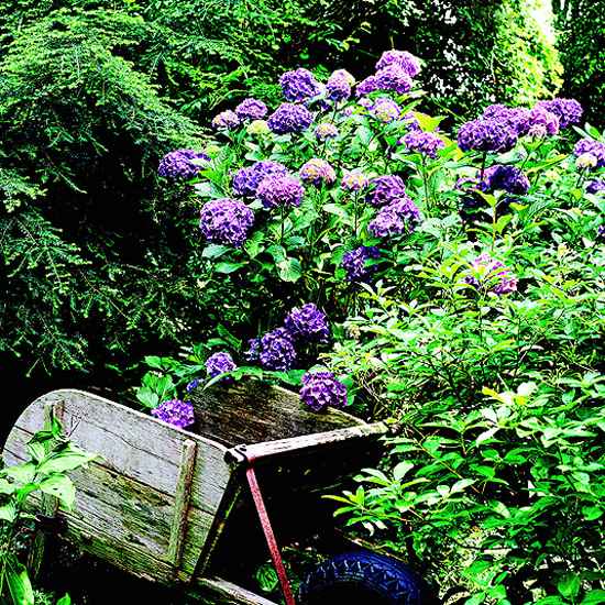 prvky záhrada na farme dekorácia starého fúrika