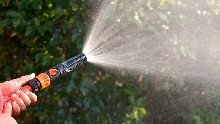 typická chyba v záhradníctve - zalievanie tipy na starostlivosť o záhradu-chyba-zalievanie záhrady