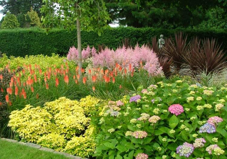 hrubých chýb, ktorým sa treba v záhradníctve vyhnúť Tipov na záhradnícke chyby-treba sa vyhnúť