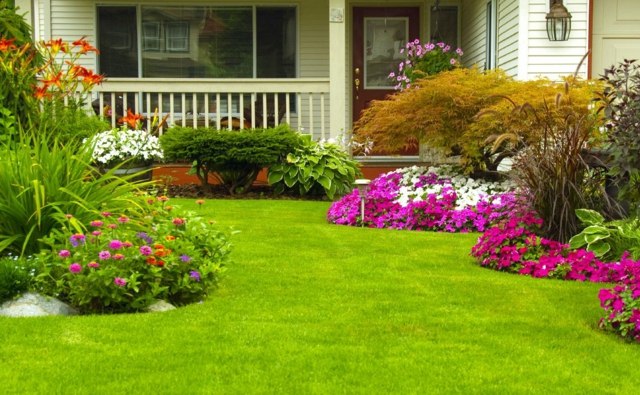 Koste trávniky, vytvárajte záhony, ohraničte nízke stromy