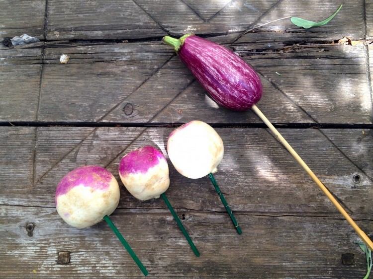 aranžovať aranžmán so zeleninou drevené špajle pomocný materiál