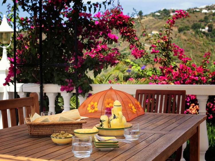 Potravinový muškátový záves v súprave oranžových a žltých jedál Dekorácia stola na konci leta žlto-riadový set-drevo-stôl-oranžovo-muškátová čiapočka