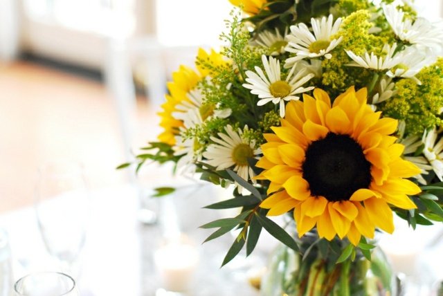 Kytica slnečnice sedmokrásky vždyzelená Stálezelená dekoratívna kytica sedmokrásky vo vidieckom štýle