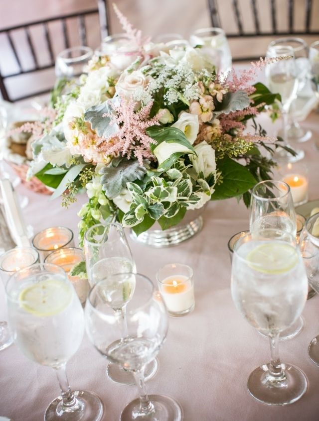 Lucerny vždyzelené rastliny biele ruže čajové sviečky Zasaďte čajové sviečky s bielymi ružami romantické prekvapenie