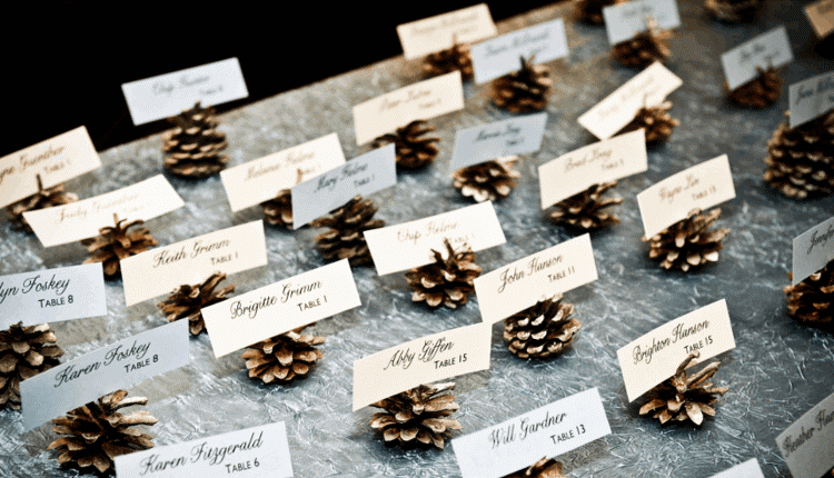 Umiestnite karty s šiškami ako držiaky na karty - ozdoba na svadbu Umiestniť karty svadobné zimné nápady šiška