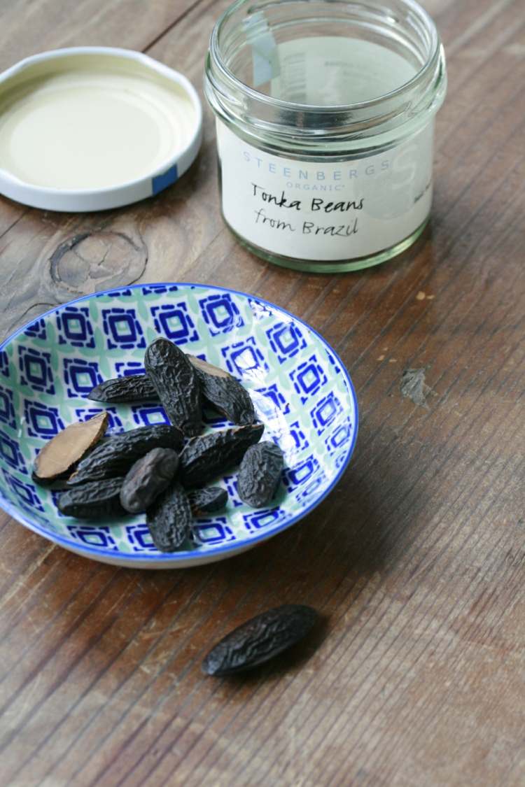 tanier-jar-tonka-fazuľa-rez