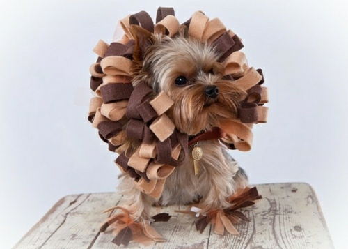 Kostým lev design Halloween