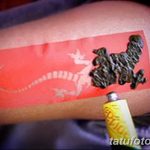 снимка Шаблони Мехенди от 19.08.2017 г. No 089 - Шаблони Мехенди_