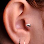 ثقب الزنمة الصورة من 19.09.2017 №007 - ثقب الزنمة -