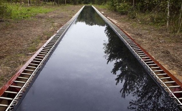 Voľnočasová aktivita zdravé skákanie na trampolíne Voľný čas zamestnanie zdravé hopsanie trampolína Rusko