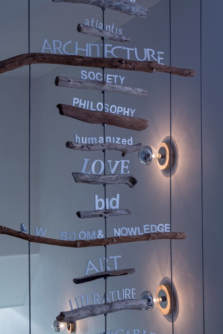 naplavené drevo-dekorácia-oceľové laná-porekadlá