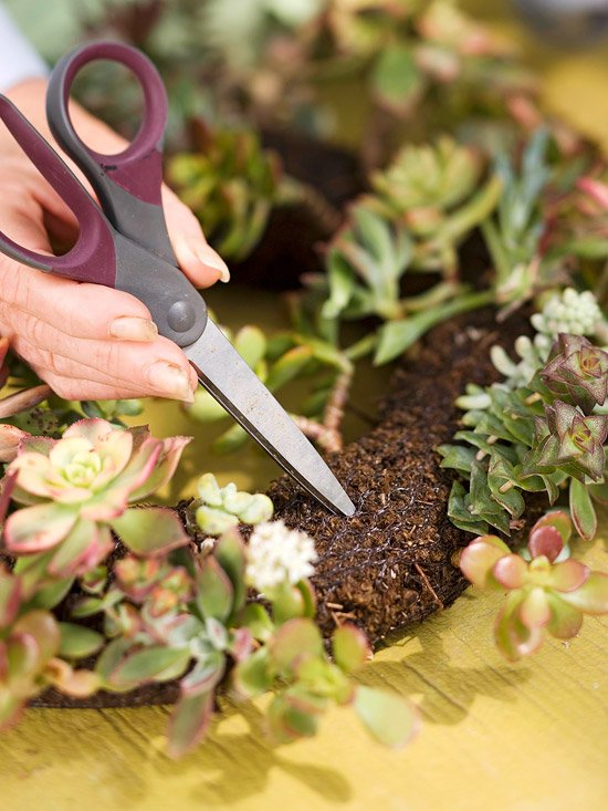 Vytvorte si vlastné otvory pre dverný veniec z miazgy