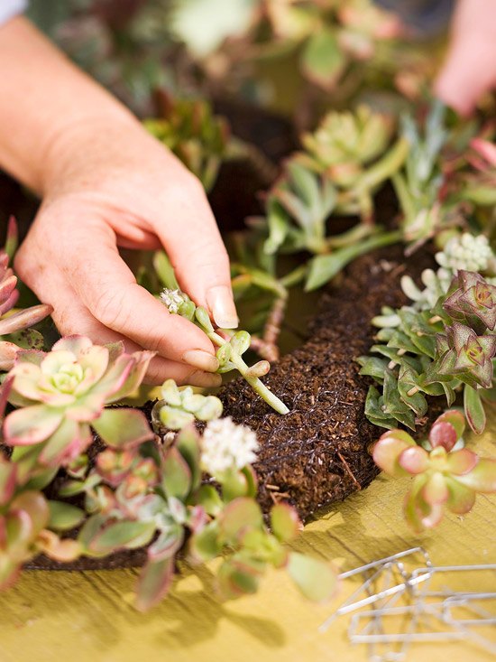 Vyrobte si vlastný dverný veniec z miazgy