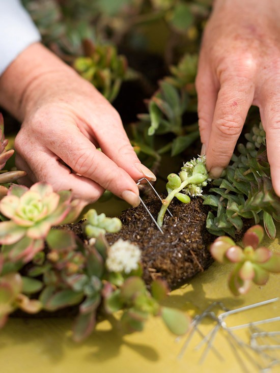 Vyrobte si vlastný veniec na dvere z miazgy