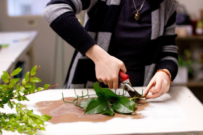 veniec adventného drotárstva vždyzelené listy citrónu dverný veniec adventný drotár vždyzelené listy citrónu