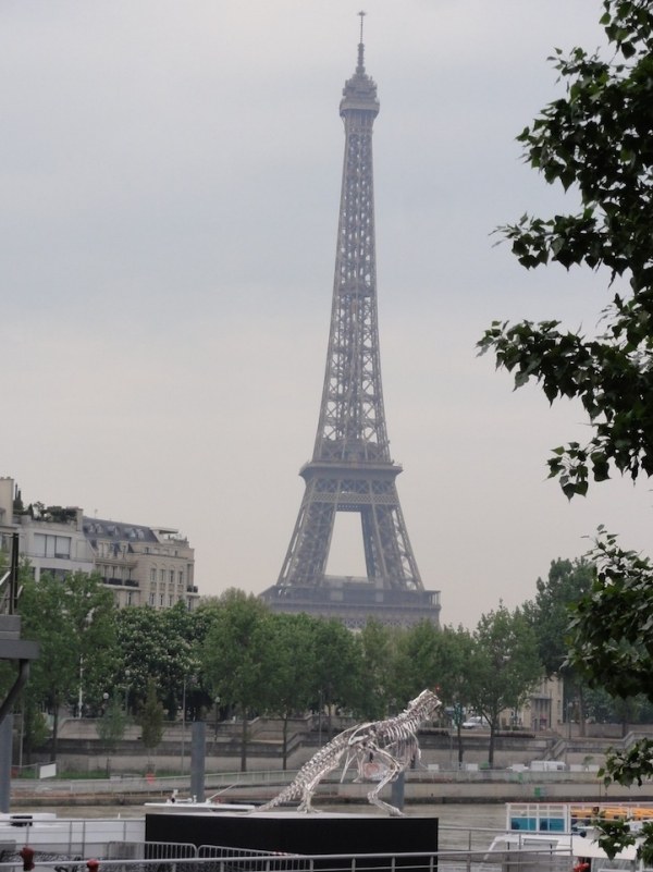 Inštalácia moderného umenia Paris-Philippe Pasqua Inštalácia moderného umenia Paris-Philippe Pasqua Design