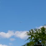 Zdjęcie zrobione nad morzem w mieście Odessa - 05.09.2020 - Uliczny tatuaż - 3