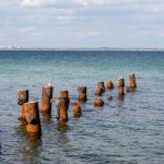 Zdjęcia zrobione nad morzem - 05.09.2020 - Street tattoo - 3