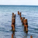 Zdjęcia zrobione nad morzem - 05.09.2020 - Street tattoo - 4