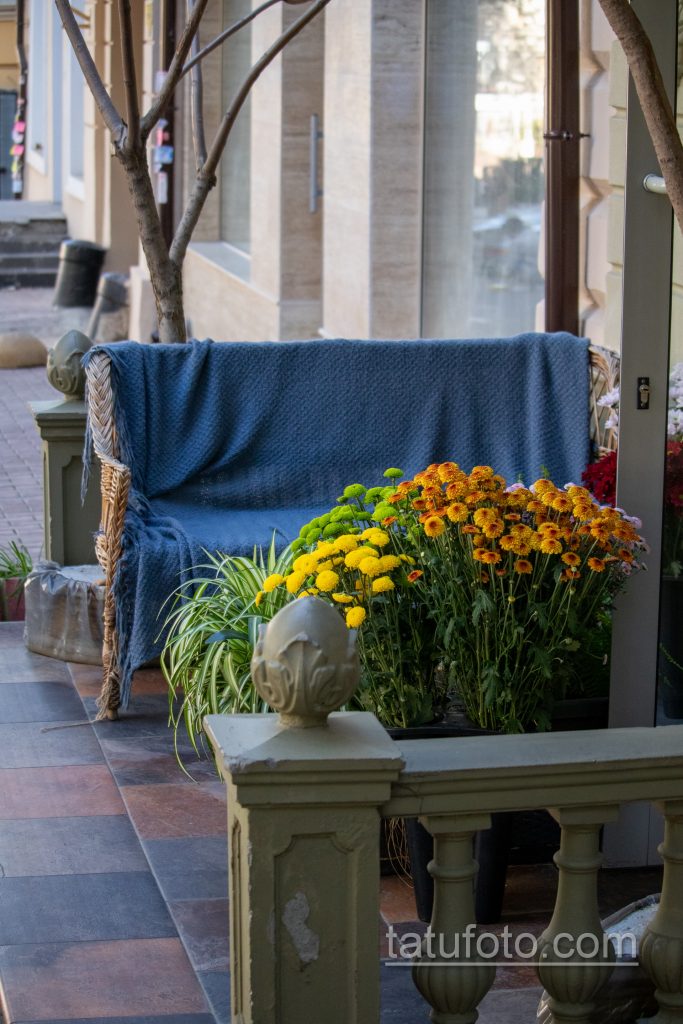 صورة زهور عند مدخل مقهى في شارع جوكوفسكي - وشم الشارع 09/14/2020 - 1