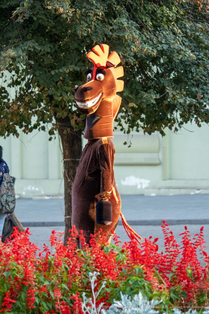 Mężczyzna w stroju konia z Madagaskaru zabawia ludzi na ulicy Deribasowskiej - 17.09.2020 - 1