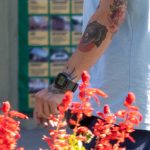 وشم النمر ابتسامة على ذراع الرجل - وشم الشارع - وشم الشارع - 09/21 / 2020-4