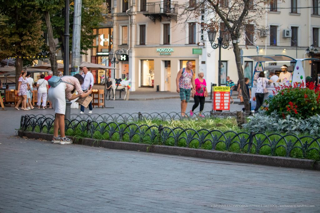 فتاة تصور قطة في الزهور والعشب - شارع وشم - شارع وشم - 09.21.2019