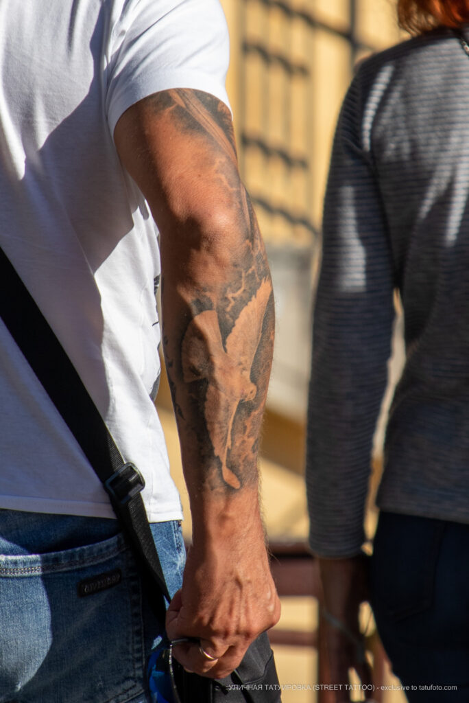 Biały gołąb tatuaż na ramieniu mężczyzny - Street tattoo -29.09.