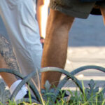 Tatuaż węża i numer 24 na nodze faceta - tatuaż uliczny -29.09.