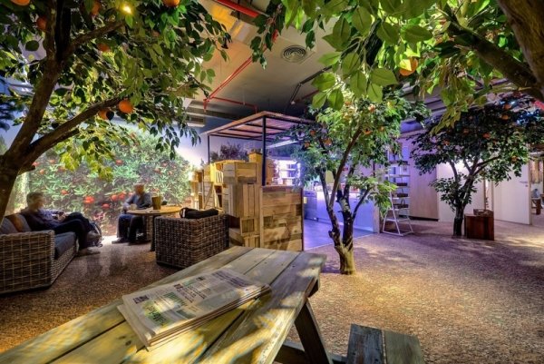 moderný kancelársky interiér v tropickej kancelárii google