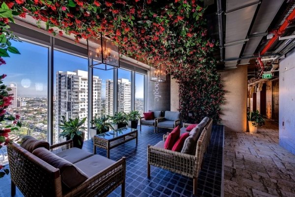 moderný kancelársky nábytok z popínavých rastlín google