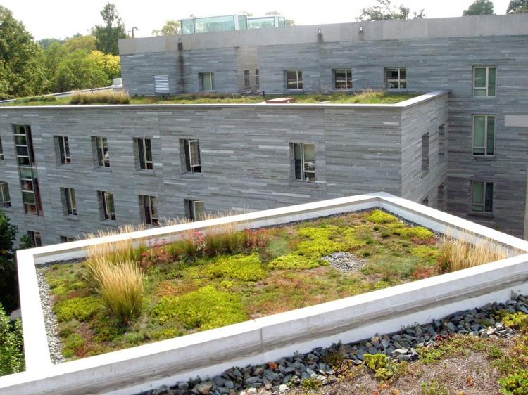 Vytvorte si vlastnú zelenú strechu Vezmite do úvahy sklon strechy